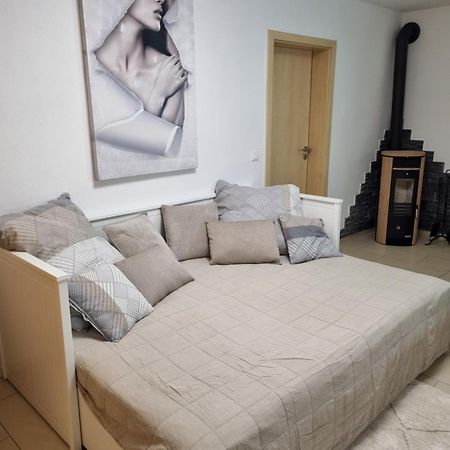 Appartment Im Untergeschoss Freilassing Dış mekan fotoğraf
